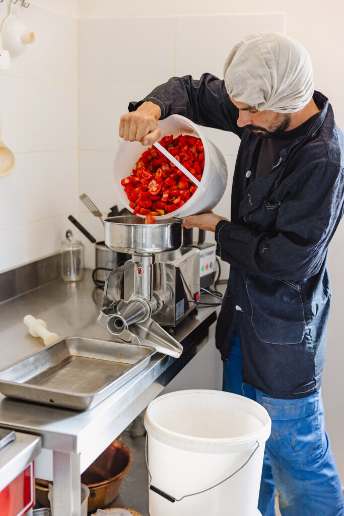 Bienvenue à la ferme x Pourdebon : les tomates