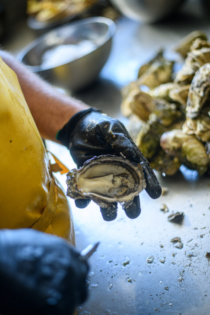 Bienvenue à la ferme x Pourdebon : les huîtres