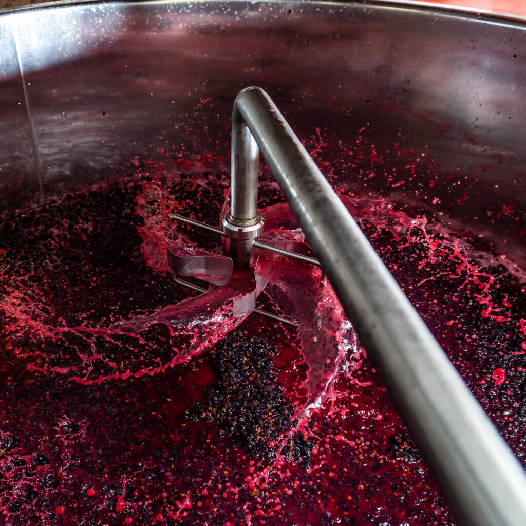 Elaboration du vin gris