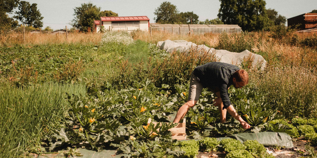 Manger local ou investir local : et si vous faisiez les deux ?