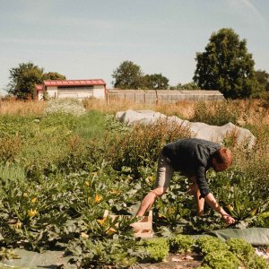 Manger local ou investir local : et si vous faisiez les deux ?