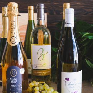 Route des vins en France : petit tour à travers nos terroirs mythiques