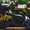 Route des vins en France : petit tour à travers nos terroirs mythiques