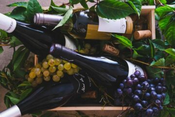 Route des vins en France : petit tour à travers nos terroirs mythiques