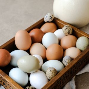 Tout savoir sur les œufs : comment bien les choisir et les cuisiner !