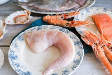 Bien conserver les produits de la mer : tout ce qu'il faut savoir !