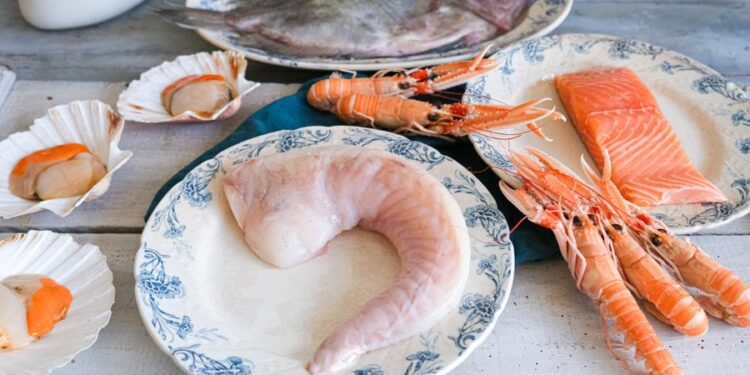 Bien conserver les produits de la mer : tout ce qu'il faut savoir !