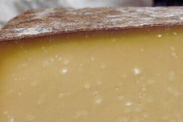 C'est quoi les petits cristaux dans les fromages ? Tout savoir sur la tyrosine