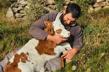 A la découverte de La Ferme de Franck et Blandine