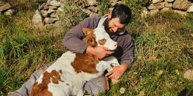 A la découverte de La Ferme de Franck et Blandine