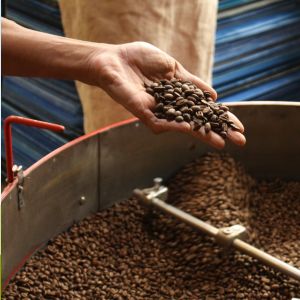 Le café pure origine, c'est quoi ?