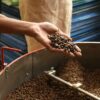 Le café pure origine, c'est quoi ?