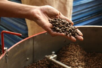 Le café pure origine, c'est quoi ?