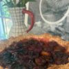 Tarte aux prunes de Julie