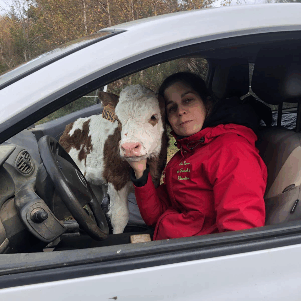 Blandine et sa vache