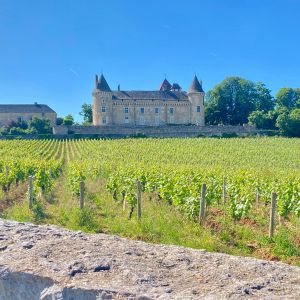 La Bourgogne du Sud, nouvelle terre promise de l’oenotourisme en Saône-et-Loire