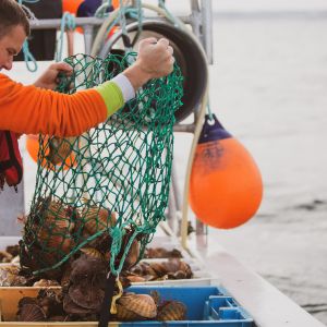 Zone FAO : comment savoir d'où vient le poisson que l'on achète ?
