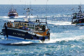 Zone FAO : comment savoir d'où vient le poisson que l'on achète ?