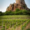L'oenotorisme en Saône-et-Loire