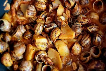 Escargots à la catalane