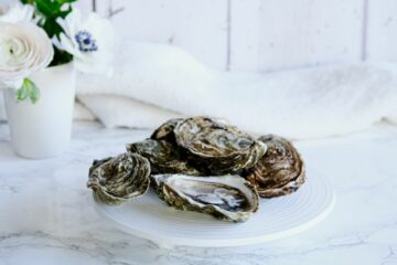 Les huîtres françaises, de véritables alliées de la mer
